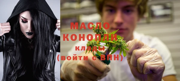 spice Богородицк