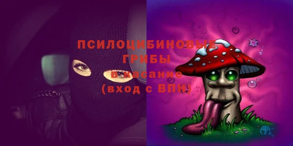 дурь Богданович